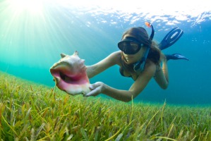 Snorkeling in Hawaii