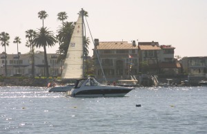 Sailing Alongside the Beach Houses