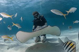 Grand Cayman Beach House Rentals,Stingray City