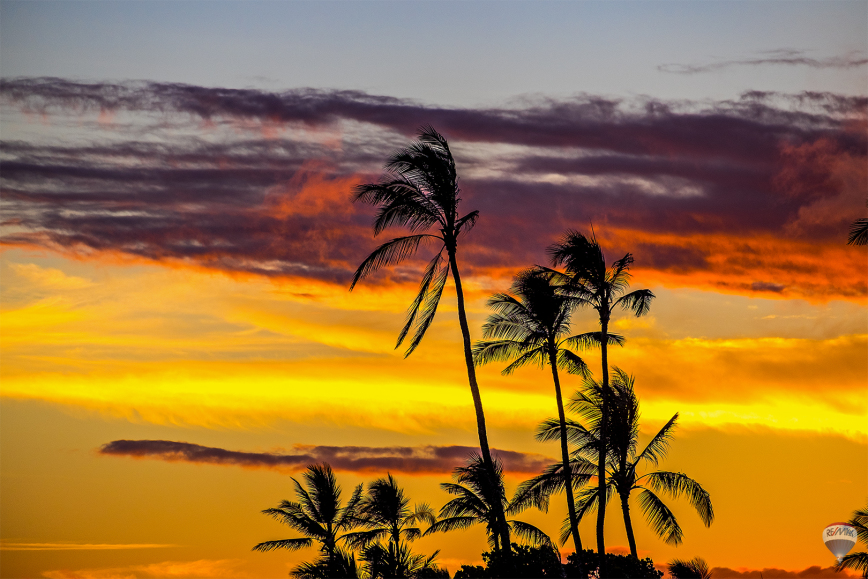 Hawaii sunset