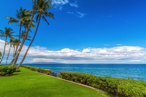 Hawaii sunset