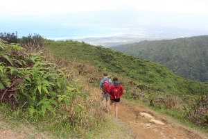Na Ala Here Hiking Trails in Keaau