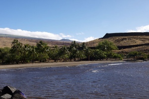 Pu'ukohola Heiau National Historic Site