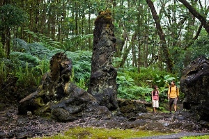 Lava Tree State Park