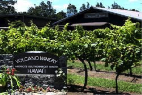 Volcano Winery