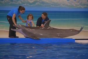 Waikoloa Beach House Rentals, Dolphin Encounters